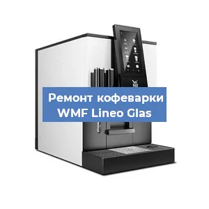 Замена счетчика воды (счетчика чашек, порций) на кофемашине WMF Lineo Glas в Екатеринбурге